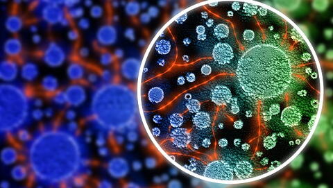 "Notre projet transdisciplinaire est en phase avec l’esprit de l’IMat : allier la physicochimie et la biologie pour des applications en médecine" "Notre projet transdisciplinaire est en phase avec l’esprit de l’IMat : allier la physicochimie et la biologie pour des applications en médecine"